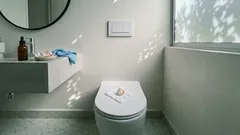 Inodoro con mal olor: el truco del ajo, cómo usarlo y qué tanto ayuda