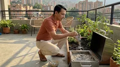 ¿Tiras la ceniza de madera? El “oro gris” que vale más de lo que parece