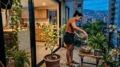 Abono casero de banano y café para tu limonero: la dosis que marca la diferencia