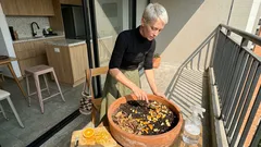 Cómo usar cáscara de naranja en macetas sin atraer mosquitas