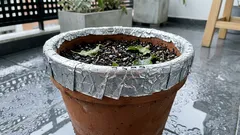 El detalle del papel aluminio en el borde de la matera que puede marcar la diferencia