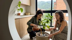 Por qué tu limonero amarillea: hierro, pH del suelo y un truco con lana de acero