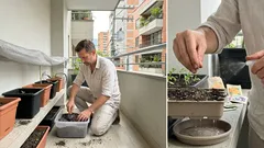 Qué sembrar en febrero para tener flores en otoño: caléndula, pensamientos y alhelí